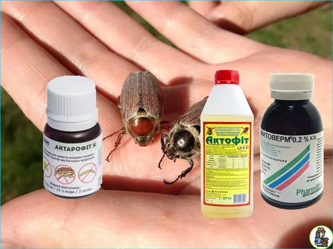 Химические средства борьбы майским жуком