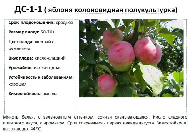 Размножение яблони и ее урожайность