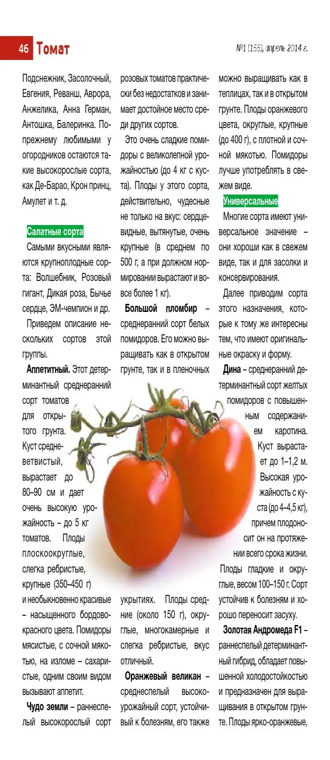 Характеристика и описание сорта томата Амулет, его урожайность