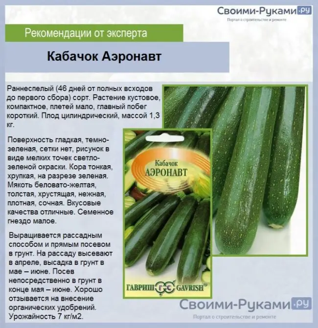 Сорта кабачка, подходящие для выращивания в Ленинградской области