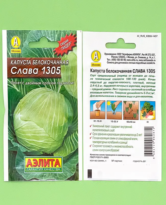 Посадка, уход и фото сортов белокочанной капусты