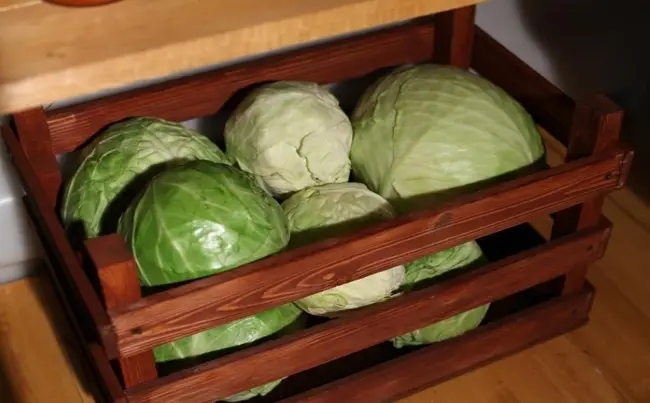 Уборка урожая и закладка овощей на хранение