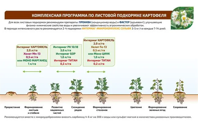 Окучивание кустов