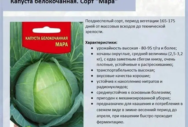 Плюсы и минусы сорта