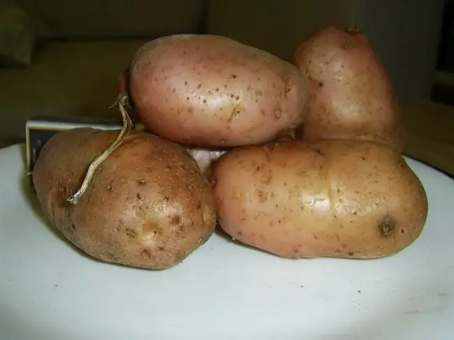 Плюсы и минусы сорта картофеля Астерикс