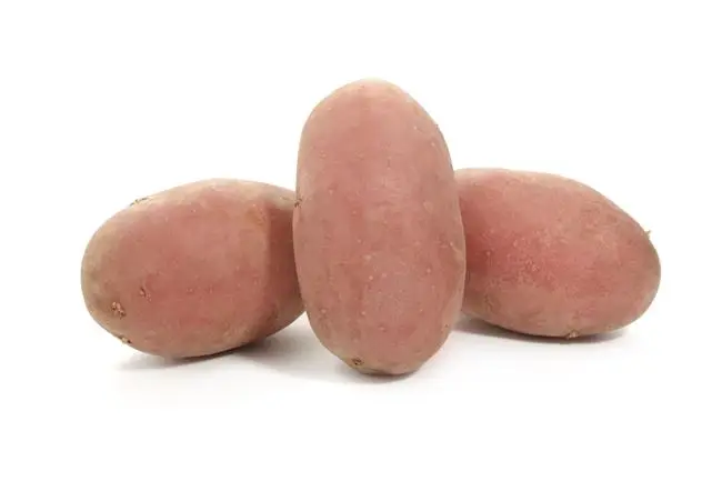 Характеристика сорта картофеля Балтик Роуз