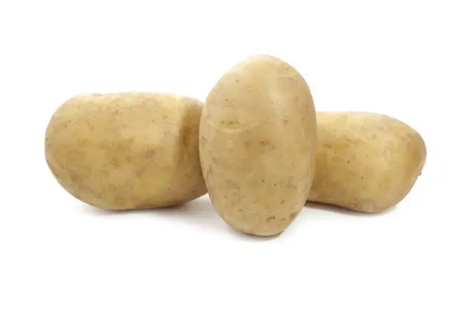 Плюсы и минусы сорта картофеля Венди