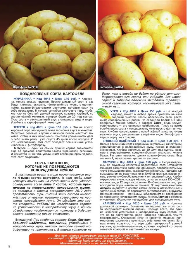 описание сорта и характеристика, фото и отзывы, вкусовые качества