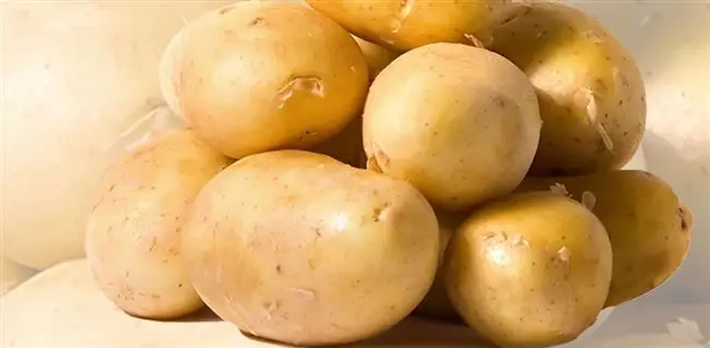 Описание картофеля Крепыш - характеристика