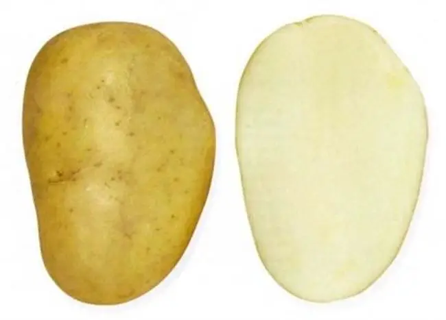 Характеристика картофеля Лига