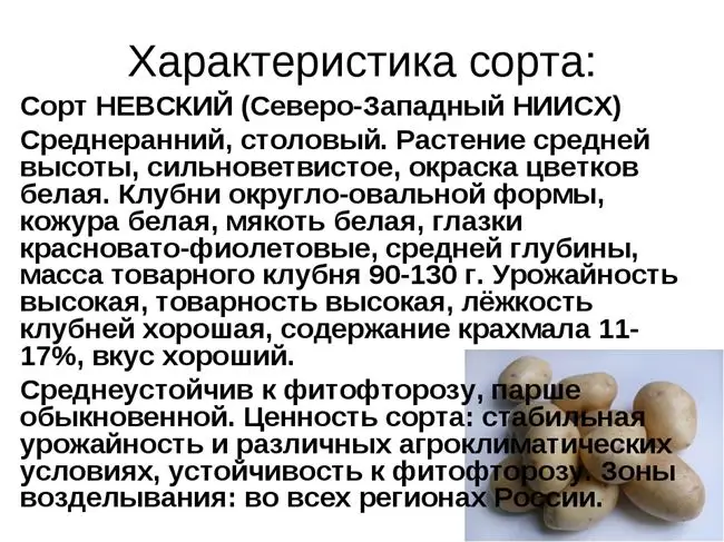 Минусы и плюсы данного сорта