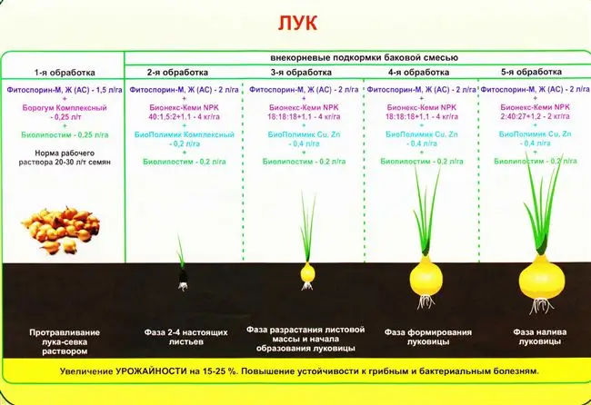 Схема и время посадки