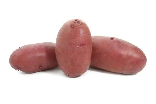 Характеристика картофеля Отрада