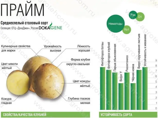 Характеристика сорта картофеля Прайм в таблице