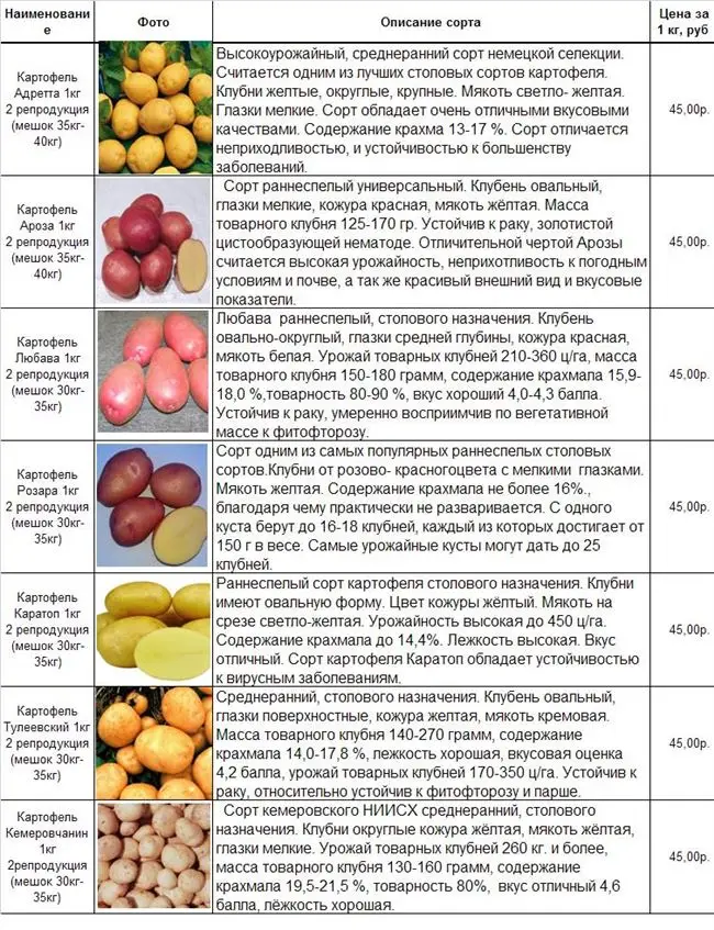 Таблица: болезни, характерные для картофеля Удача