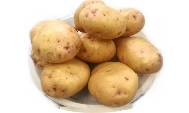 Характеристика картофеля Утро раннее