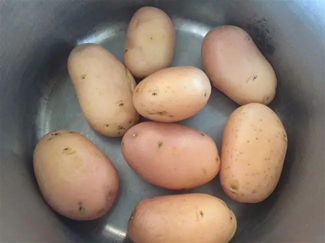 Подробное описание сорта картофеля Фаворит