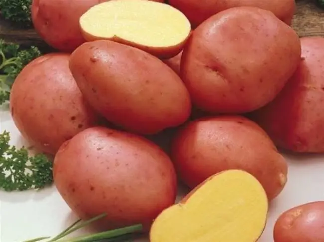 Отзывы о картофеле