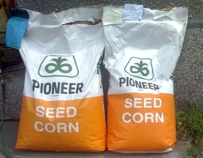 Описание и характеристики - П8816 / P8816 АскоСтарт - кукуруза, 80 000 семян, Pioneer (Пионер)
