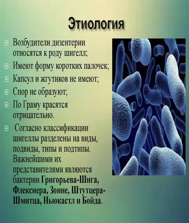 Признаки бактериальной инфекции, вызванной шигеллой (дизентерия)