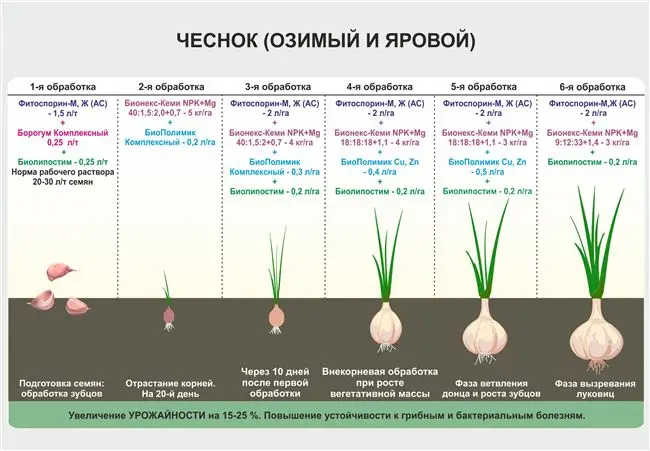 Посадка и посев