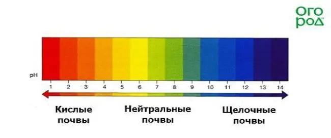 Показатель pH почвы (как определить кислотность почвы)