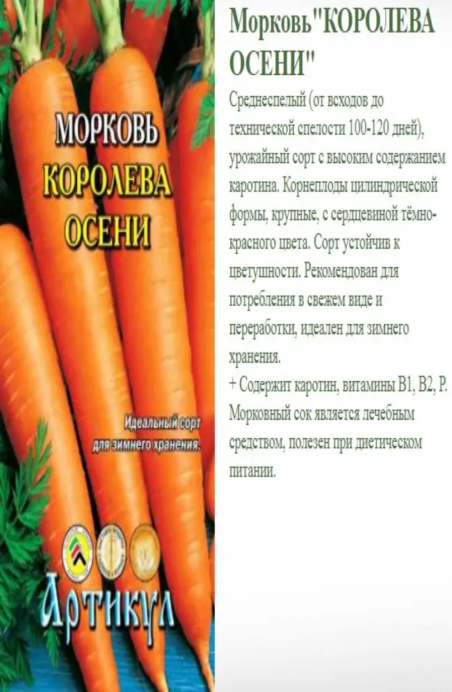 Описание и характеристика моркови Королева осени