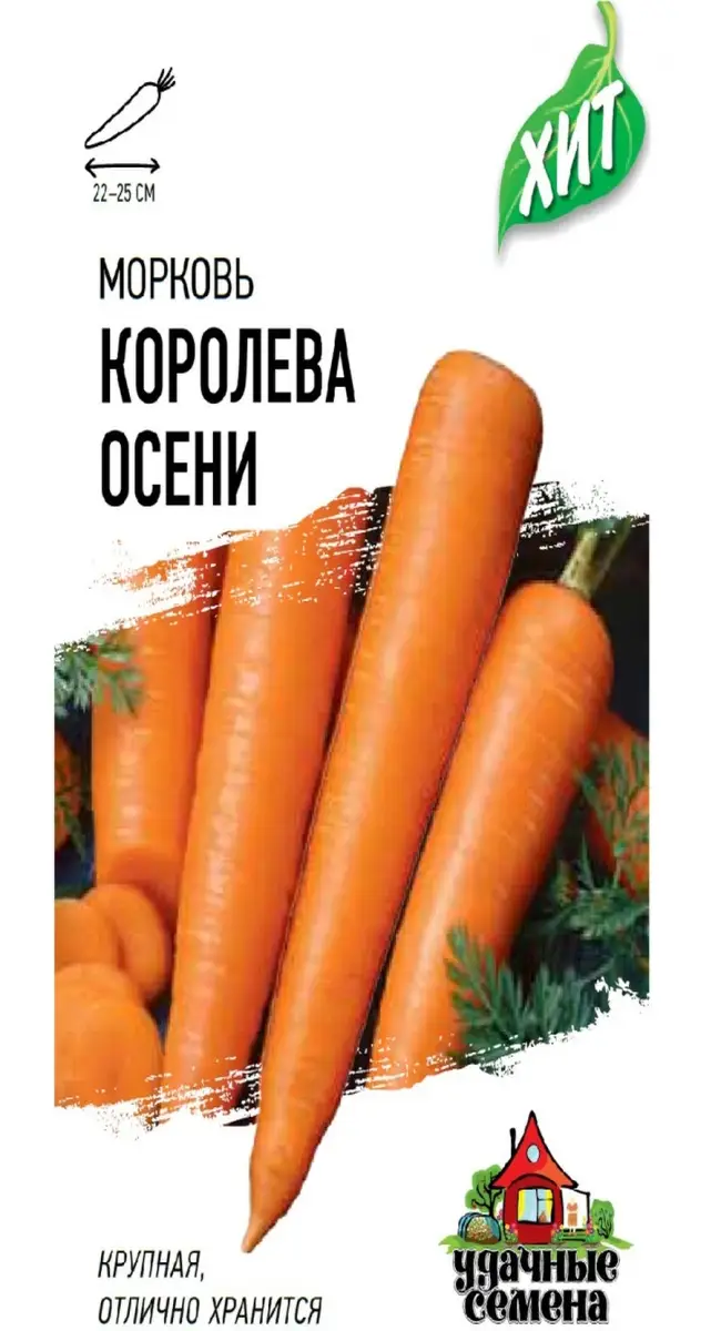 Совместная посадка моркови 
