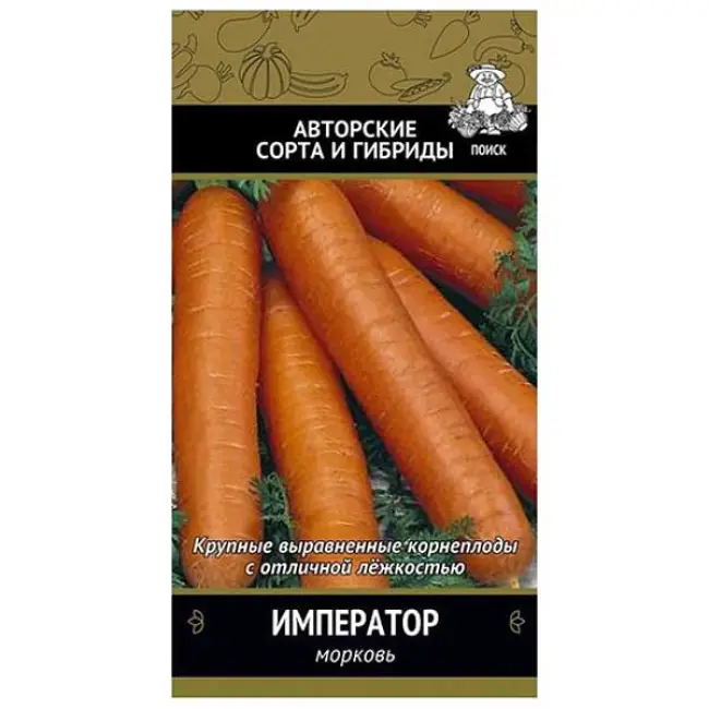 Выращивание и уход за морковью Император