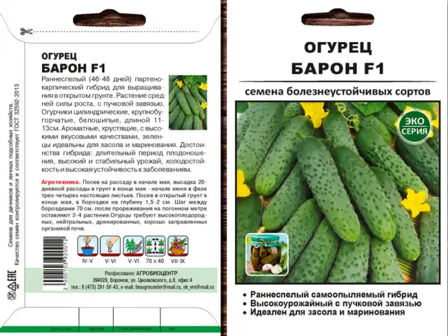 Характеристика и описание сортов белых огурцов