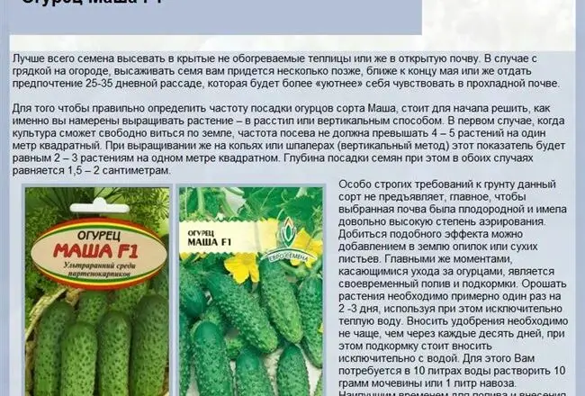 Описание Огурец Купец Батюшка, 0,5 г