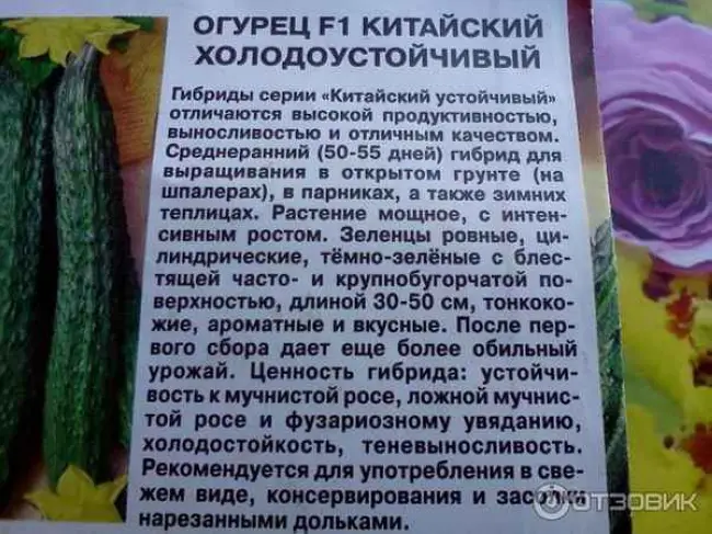 Особенности посадки и ухода