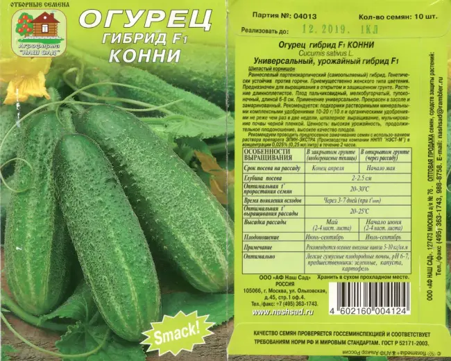 Описание сорта огурцов