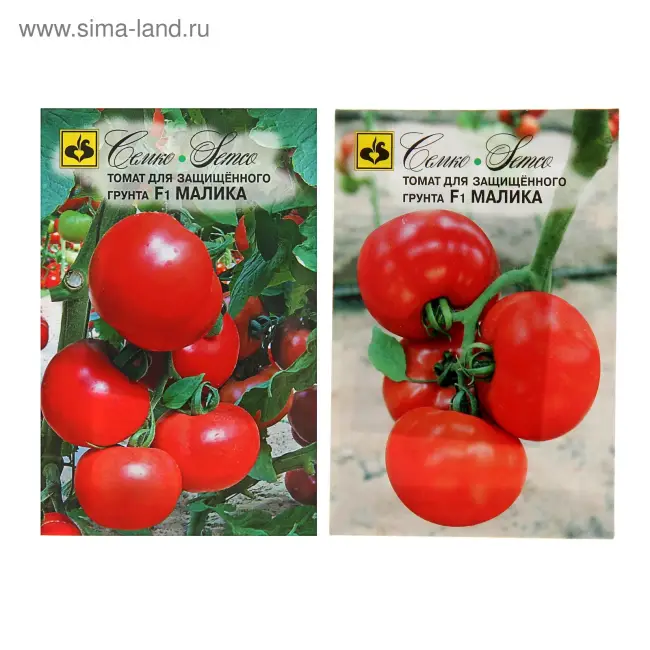 Описание сорта томата Малика, особенности выращивания и уход