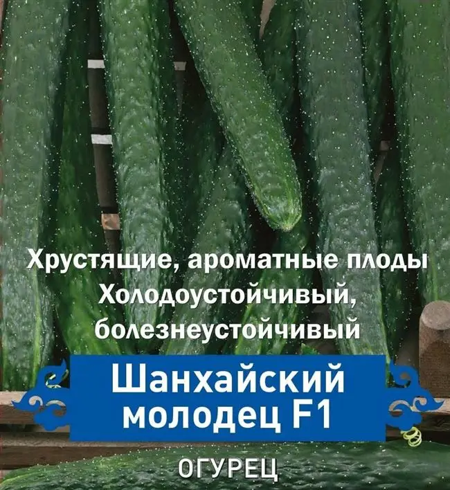 Рекомендации по уходу за сортом Молодец