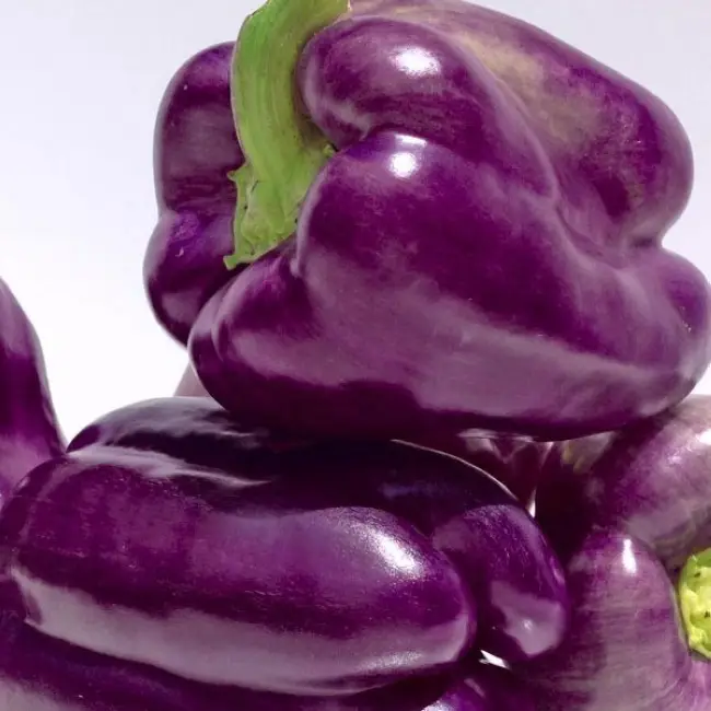 Описание и вкус фиолетового перца