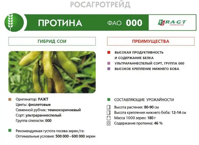 Сорта сои описание и характеристика видов в России и в мире с фото и видео