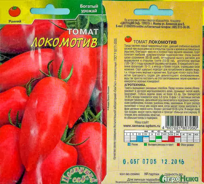 Описание сорта томатов Клуша, его характеристики