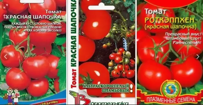 Описание томатов Красная шапочка