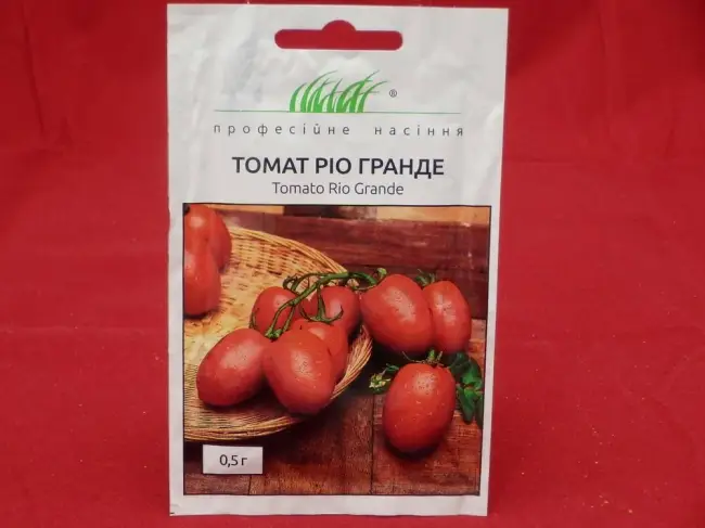 Сбор, использование и хранение помидоров сорта томата Рио Гранде