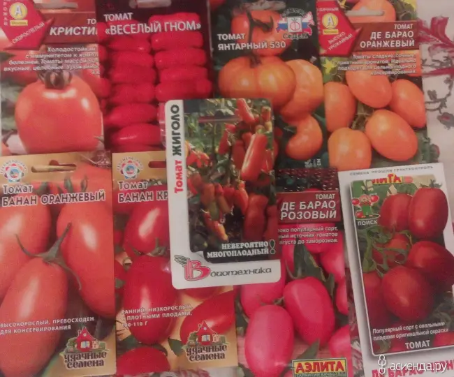 Отзывы садоводов о томате Весёлый гном