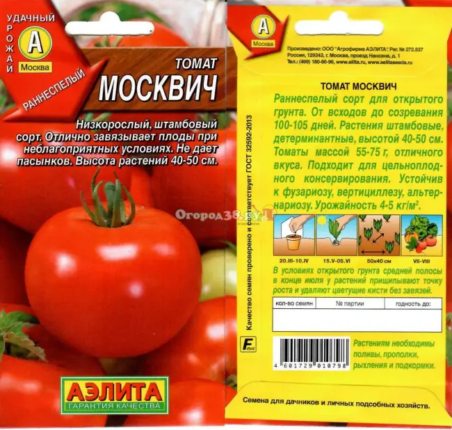 Агротехника выращивания помидоров Москвич, посадка и уход