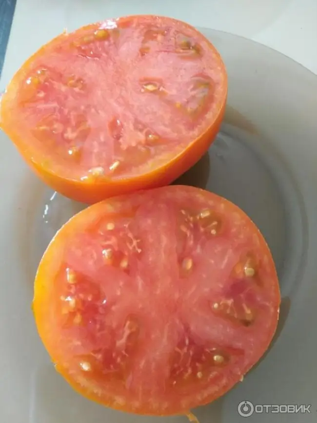 Описание томата Оранжевый бочонок, отзывы, фото