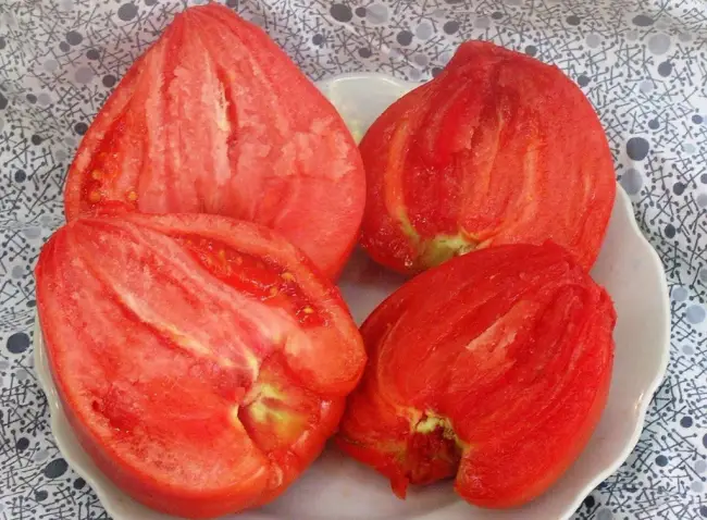 Описание сорта томата Коловый Кубанский, характеристика