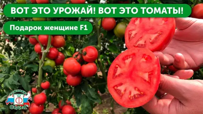 Видео обзор Подарок женщине томат отзывы