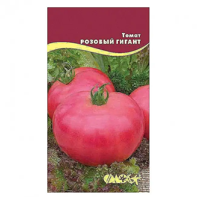Описание и характеристика томата Розовый гигант, отзывы, фото