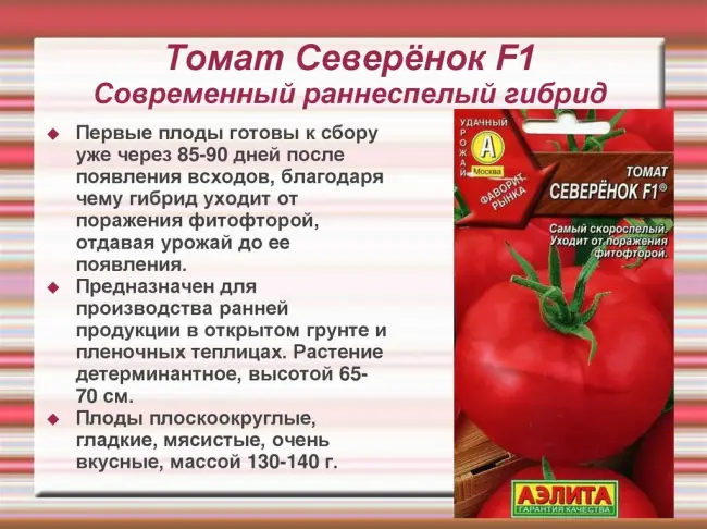 Сорт томатов Бобкат, описание, характеристика и отзывы, а также особенности выращивания