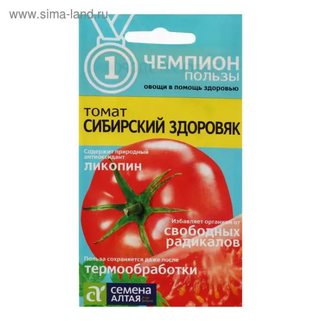 Сбор, использование и хранение сорта томата Сибирский здоровяк