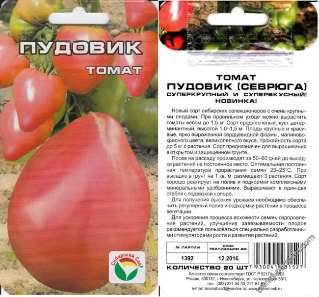 Отзывы тех, кто выращивал томат