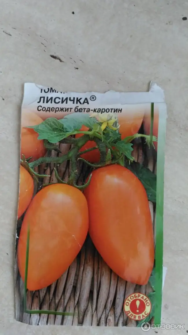 Описание и характеристика сорта томата Лисичка, отзывы, фото
